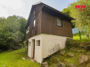 Prodej chaty, Stružnice - Bořetín, 489 m2