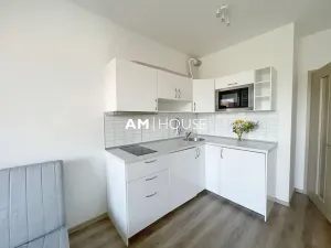 Pronájem bytu 1+kk, Praha - Malešice, Nad úžlabinou, 28 m2