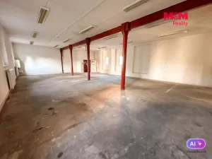 Pronájem obchodního prostoru, Varnsdorf, Melantrichova, 390 m2
