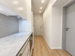 Pronájem pokoje, Praha - Nusle, Svatoplukova, 15 m2