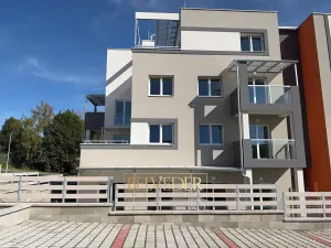 Prodej bytu 2+kk, Teplice, Albrechtova, 67 m2