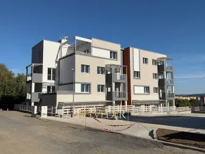 Prodej bytu 2+kk, Teplice, Albrechtova, 55 m2