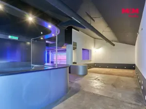 Pronájem obchodního prostoru, Drslavice, 365 m2