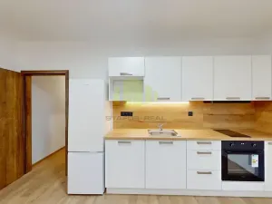 Pronájem bytu 1+kk, Olomouc, Janského, 34 m2