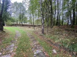 Prodej pozemku, Benešov nad Černou - Kuří, 3849 m2