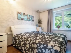 Pronájem bytu 2+1, Brno, Družstevní, 55 m2
