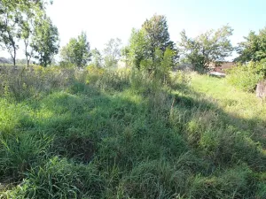 Prodej rodinného domu, Kaliště, 200 m2