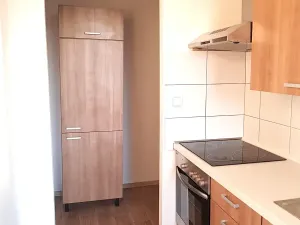 Pronájem bytu 1+1, České Budějovice, K. Šafáře, 43 m2