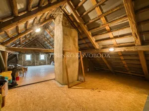 Prodej vícegeneračního domu, Pavlov, 354 m2