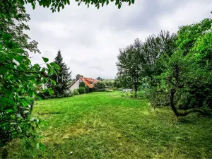 Prodej vícegeneračního domu, Pavlov, 354 m2