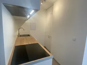 Pronájem bytu 2+kk, Praha - Žižkov, Malešická, 45 m2