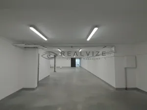 Prodej bytu 3+kk, České Budějovice, J. Dobrovského, 97 m2