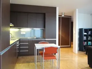 Pronájem bytu 2+kk, Brno, Údolní, 48 m2