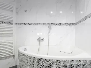 Pronájem ubytování, Praha - Nové Město, Opatovická, 1000 m2