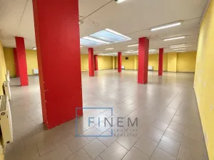 Pronájem obchodního prostoru, Kralupy nad Vltavou, 410 m2