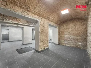 Prodej obchodního prostoru, Praha, Seifertova, 110 m2