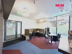 Pronájem obchodního prostoru, Praha - Smíchov, Kobrova, 276 m2