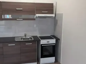 Pronájem bytu 1+kk, Mostkovice, 38 m2