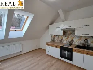 Pronájem bytu 1+kk, Šebrov-Kateřina, 44 m2