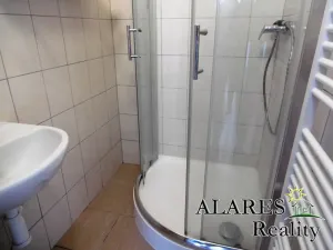 Pronájem bytu 1+1, Praha - Hostavice, Pasecká, 50 m2