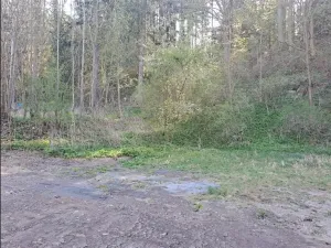 Prodej pozemku, Pohledy, 1141 m2