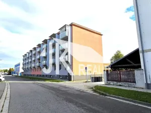 Prodej bytu 2+1, Prostějov, Krapkova, 50 m2
