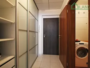 Pronájem bytu 1+kk, Brno, Hybešova, 36 m2
