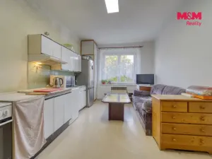 Prodej bytu 1+1, Plzeň - Východní Předměstí, Úslavská, 45 m2