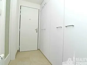 Pronájem bytu 1+kk, Praha - Vinohrady, Řipská, 30 m2