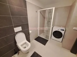 Pronájem bytu 1+kk, Vyškov, Sídliště Osvobození, 42 m2