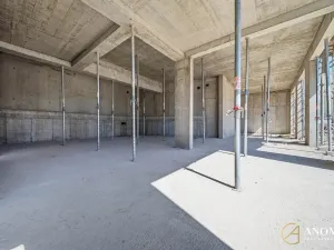 Prodej obchodního prostoru, Brno, 172 m2
