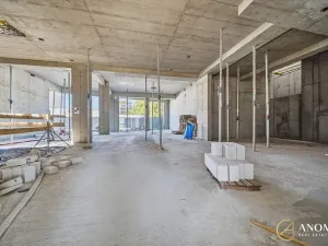 Prodej obchodního prostoru, Brno, 259 m2