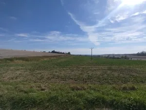 Prodej pole, Ježkovice, 56184 m2