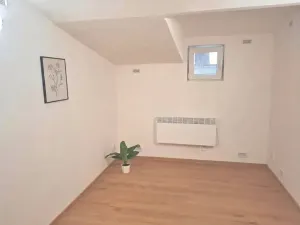 Prodej obchodního prostoru, Brno, Rokycanova, 62 m2