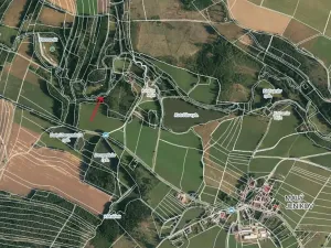 Prodej lesa, Strmilov, 881 m2