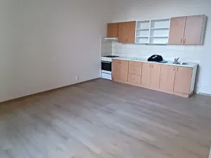 Pronájem bytu 2+kk, Plzeň, Koperníkova, 50 m2