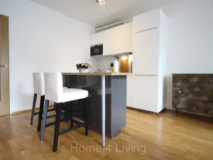 Prodej bytu 1+kk, Brno, Božetěchova, 45 m2