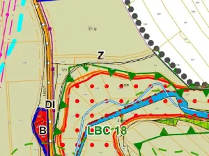 Dražba louky, Pluhův Žďár, 1175 m2