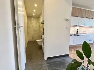 Pronájem bytu 2+kk, Praha - Žižkov, 80 m2
