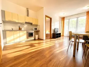 Pronájem bytu 2+kk, Praha - Karlín, Křižíkova, 52 m2