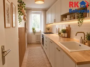 Prodej bytu 2+1, Mladá Boleslav, S. K. Neumanna, 64 m2