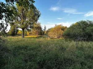 Prodej pozemku pro bydlení, Nová Ves, 4929 m2