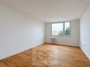 Pronájem bytu 3+1, Mladá Boleslav, Jana Palacha, 80 m2