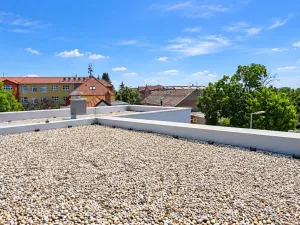 Prodej vícegeneračního domu, Šestajovice, Komenského, 275 m2