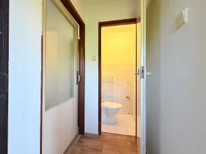 Pronájem bytu 2+1, Praha - Benice, Na koupaliště, 50 m2