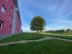 Pronájem bytu 2+1, Hlučín, Severní, 54 m2