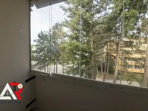 Prodej bytu 2+1, Brno, Luční, 50 m2