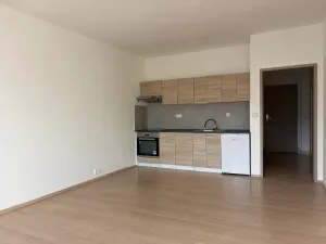 Pronájem bytu 1+kk, Liberec, Jeronýmova, 36 m2