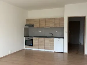 Pronájem bytu 1+kk, Liberec, Jeronýmova, 36 m2