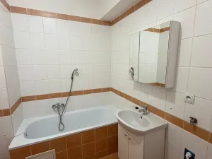 Pronájem bytu 1+kk, Liberec, Jeronýmova, 36 m2